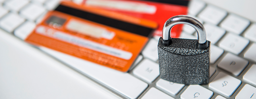 e-Commerce Fraud