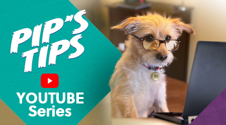 Introducing Pip's Tips, a new video series