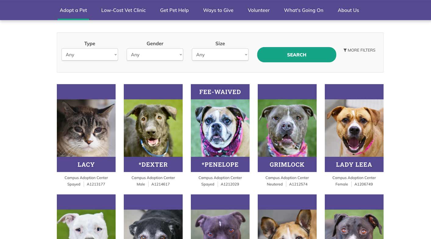 Screen shot of the Animal Foundation pet adoption search screen