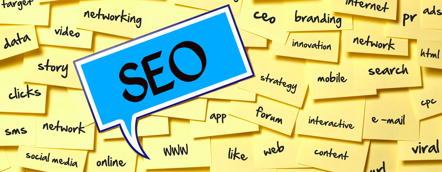 SEO & Social Media Fundamentals