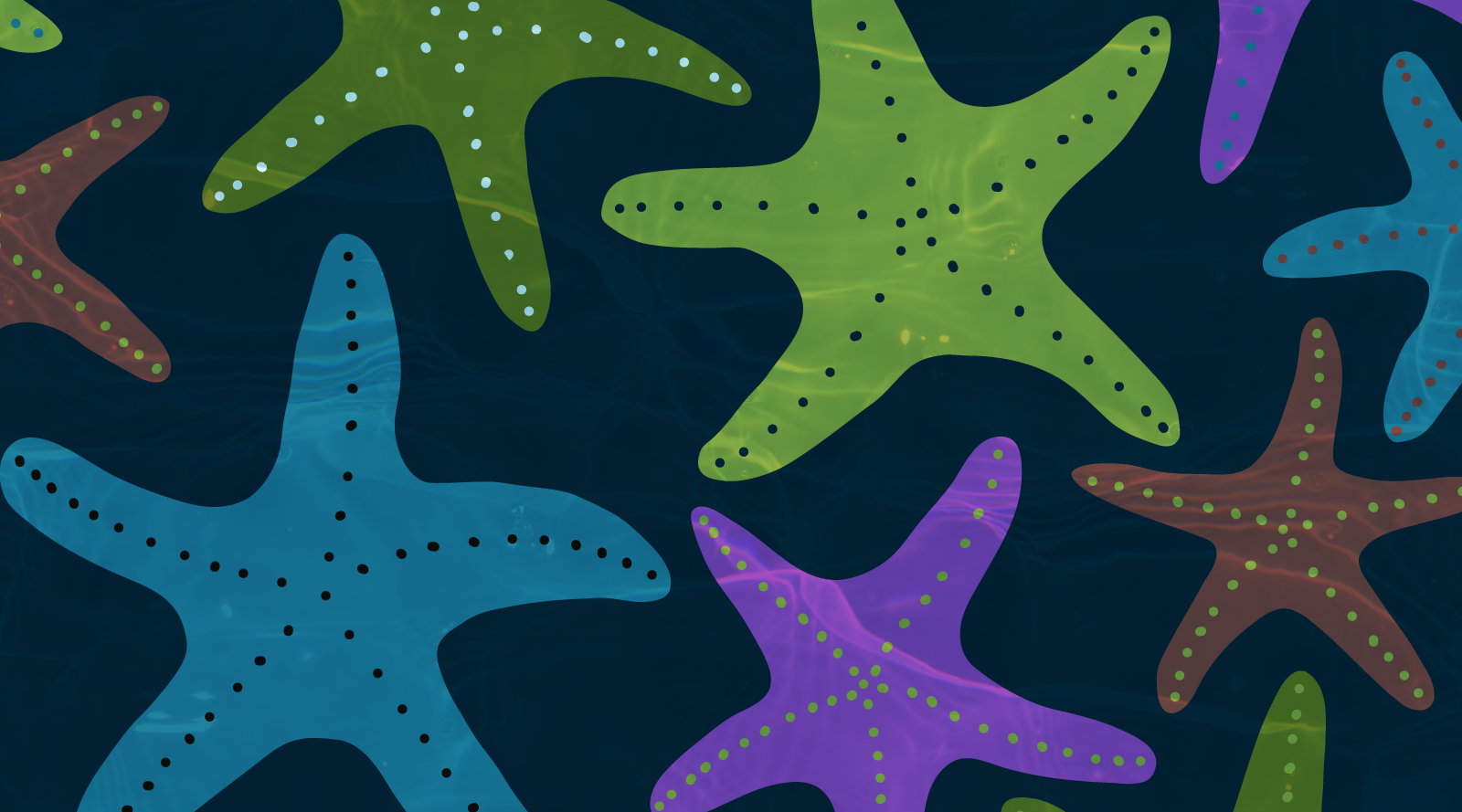 Informatics Starfish Initiative Starfish Initiative Informatics Inc