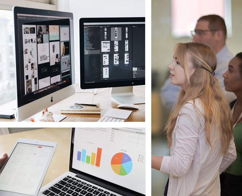 A team of creatives work on a web design
