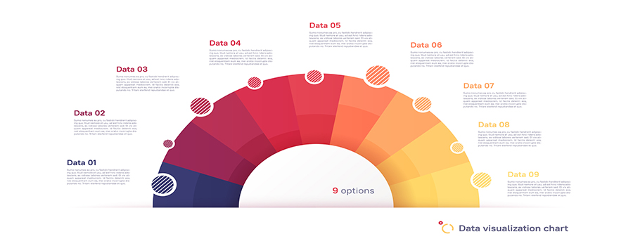 infographic vs infographics