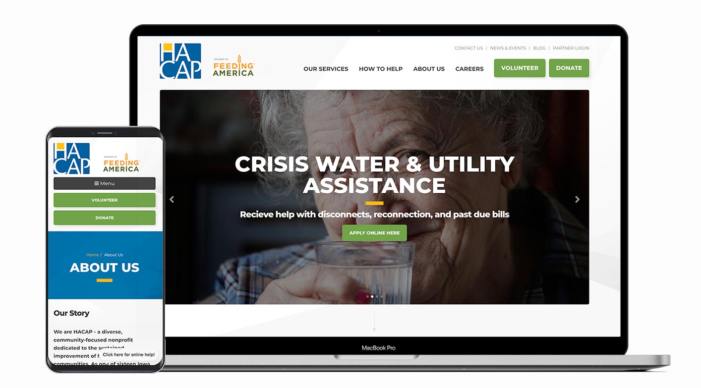 A screenshot of the HACAP website design